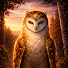 5ahMTrgiVMc-channel-avatar-GODOFGOLD 808