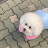 @김밀키-e1p
