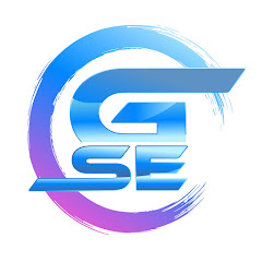 GSE | GAME SOURCE ENTERTAINMENT net worth