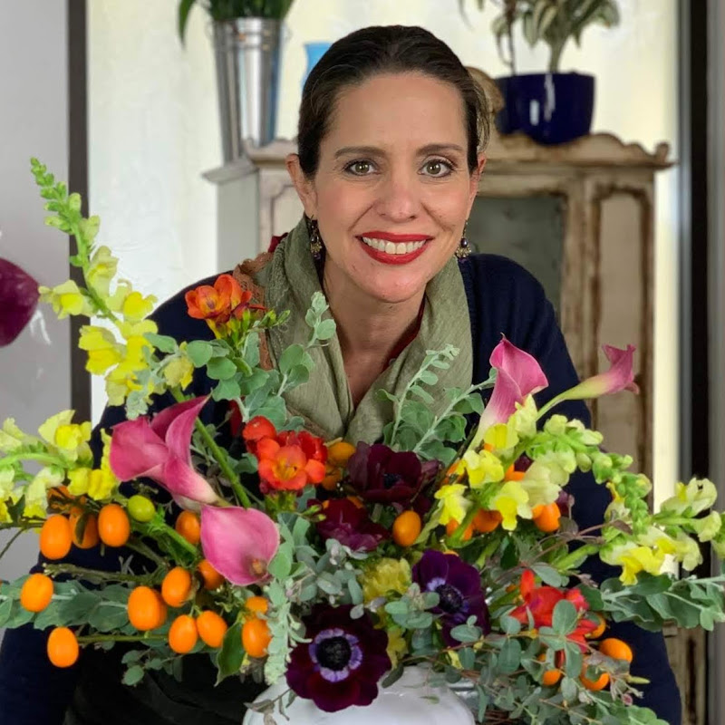 Ana Galena icon