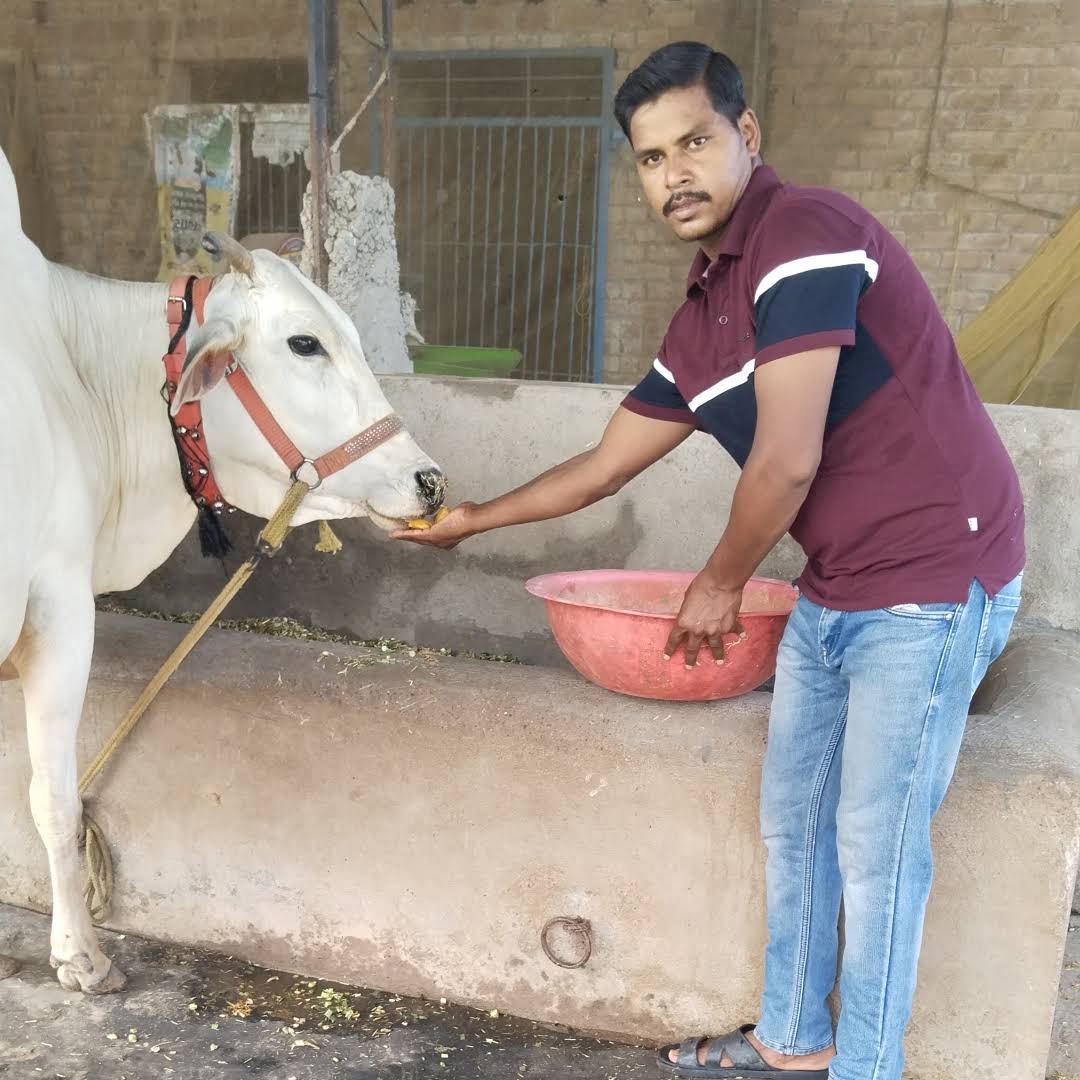 Post from UDAY RAJAK RAMPUR WALA