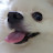 @brake_hwang