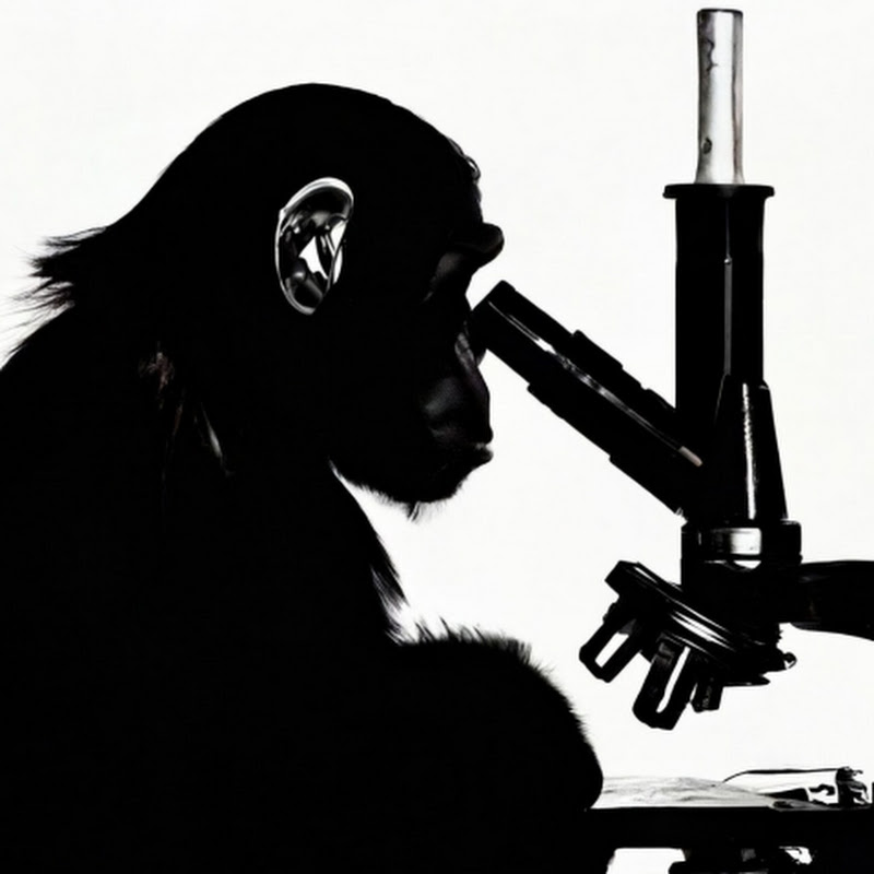 apeish LAB