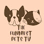 The funniest pets logo