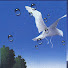 K8q_rv8Srxw-channel-avatar-Another Delver