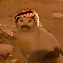 ابو عطية