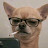 @MintStiles's avatar