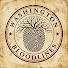 48S9dKpc_ws-channel-avatar-Washington Bloodlines
