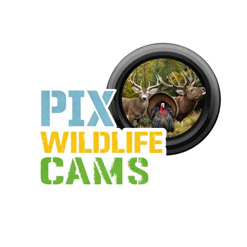 PixWildlifeCams logo