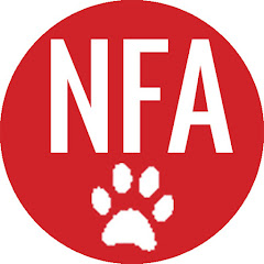 Network for Animals