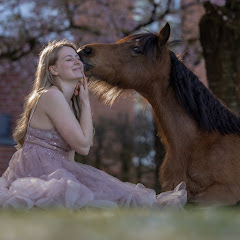 Bella ein Pony fürs Leben