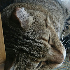 ゼロ