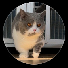 omah.kucing.kediri