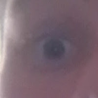 the Holden Rainbow profile image