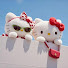 0_bG11RZrDM-channel-avatar-구구고고 gugugogo