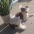 @bushwacker_bandit