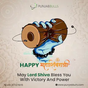 Punjabbulls Technology Pvt. Ltd YouTube channel