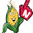 Corn Nation