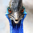 cyYGwJWvL_Q-channel-avatar-Clyde Johnston