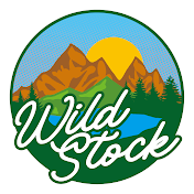 キャンプ型音楽メディア「WildStock」 