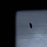 l95niIDag1Y-channel-avatar-Abdulla