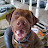 @FishingandDogs Avatar