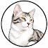 kKglhzenI4M-channel-avatar-Rio The Cat