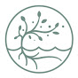 Salt + Root Counseling logo
