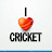 360°Cricketview