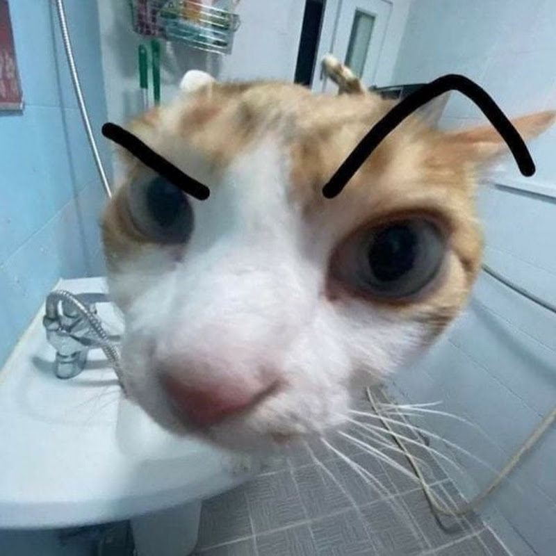 gab