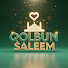 6g0JH5Q0kLc-channel-avatar-Qolbun Saleem