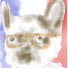 APBvUE0LlDY-channel-avatar-ぽね家本舗Ponéké honpo