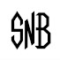 XjaVYfdAe_8-channel-avatar-SnB Braunschweig