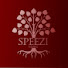 De_xqzBz5VM-channel-avatar-Speezi productions