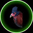 DiqOMEWJEw4-channel-avatar-GALLITO!