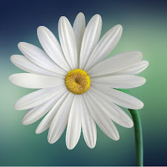 抖音歌曲 ☘️アイコン画像