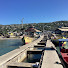 x6NgVBgHQl8-channel-avatar-FISHING  🎣🐠 IN WHITEHOUSE JAMAICA FISHERMENTALE