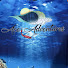 gzwVY3gBSTI-channel-avatar-Ace Adventures Fishing