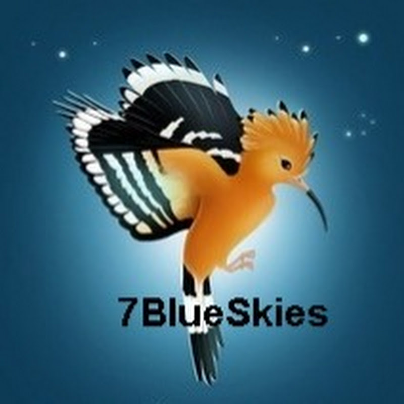 7BlueSkies