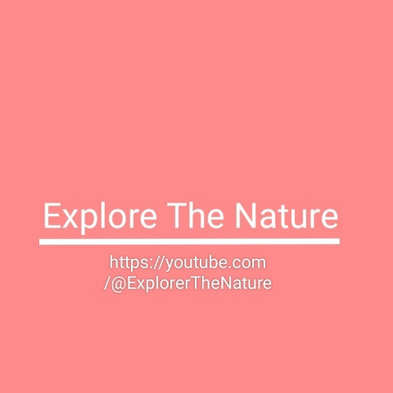 Explore The Nature