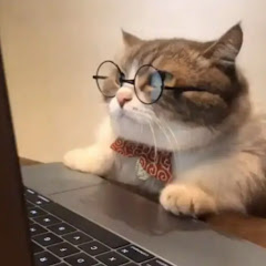 梳乎厘アイコン画像