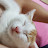 @대길이-q1r