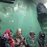8FiDpoOZs6A-channel-avatar-u-yaatra