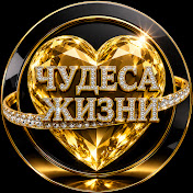 ЧУДЕСА ЖИЗНИ