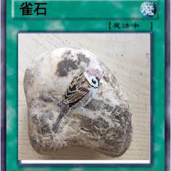 爛桃花アイコン画像