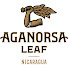 -pOeNyJsGi0-channel-avatar-Aganorsa Leaf