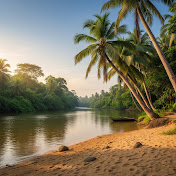 kerala live pro