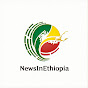 NewsInEthiopia logo