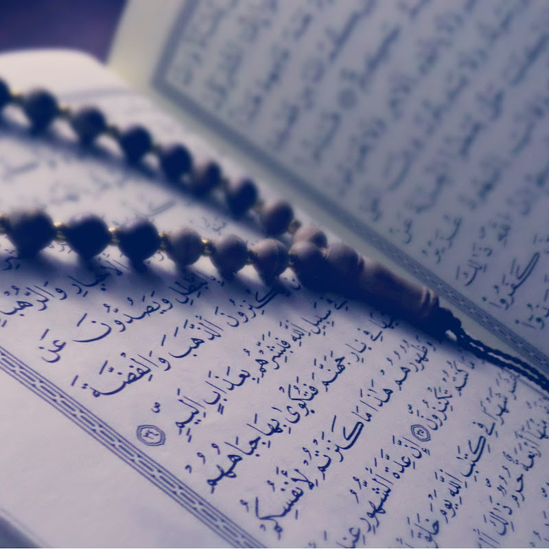 The Holy Quran
