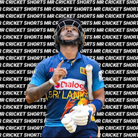 Mr Cricket Shorts's IMAGE